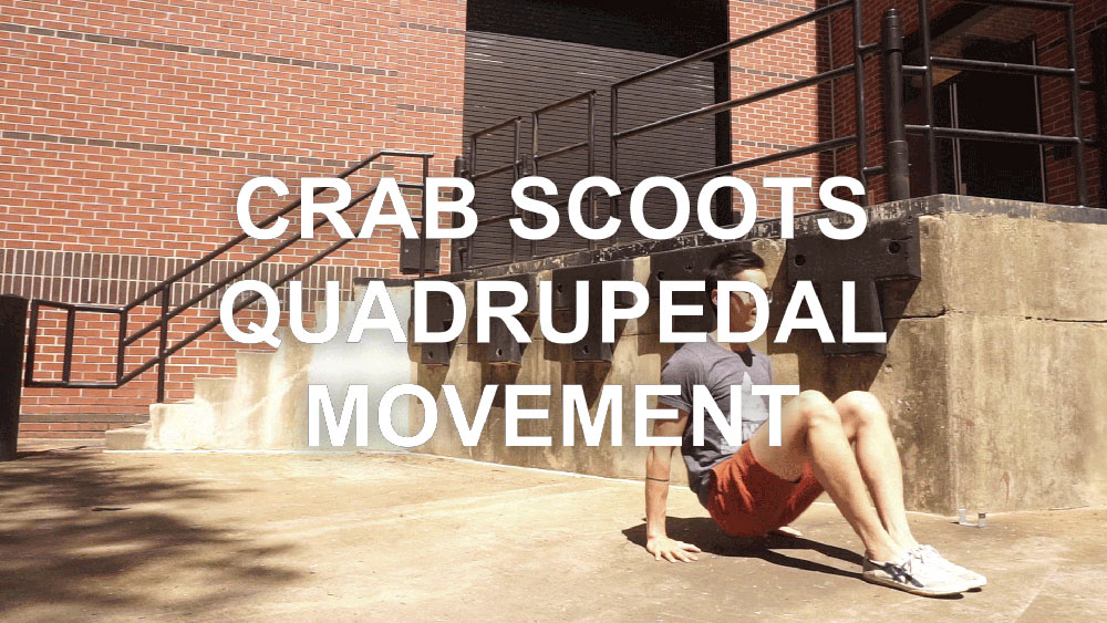 Crab Scoots
