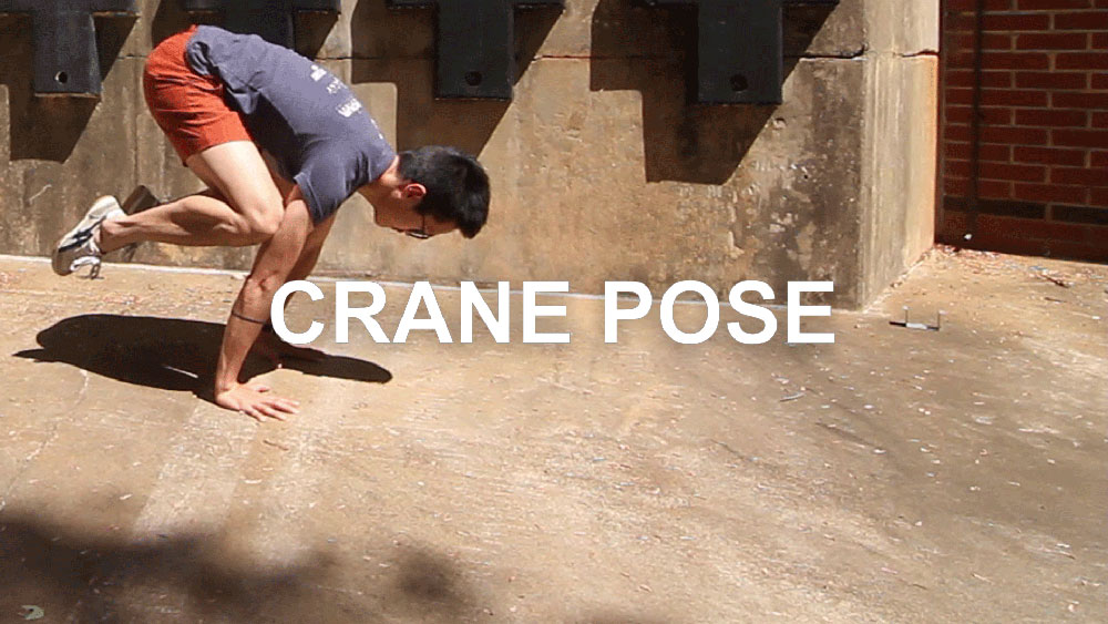 Crane Pose