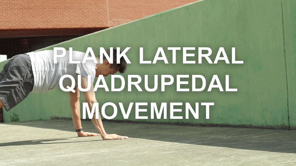 Plank Lateral Quadrupedal Movement