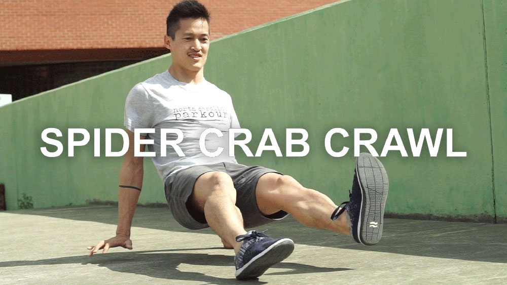 Spider Crab Crawls